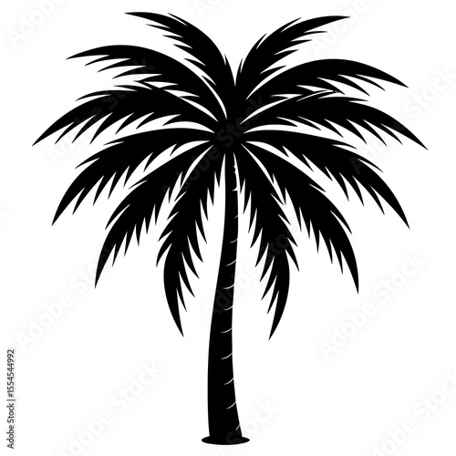 palm tree silhouette