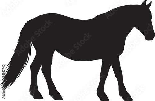 Canadian horse in silhouette vector pure white background.