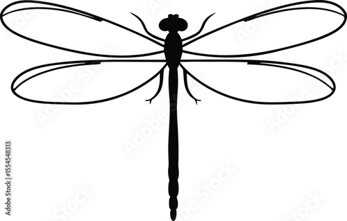 dragonfly vector illustration