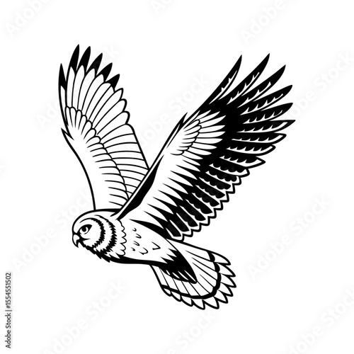 A majestic owl in flight, depicted in a striking black and white illustration.