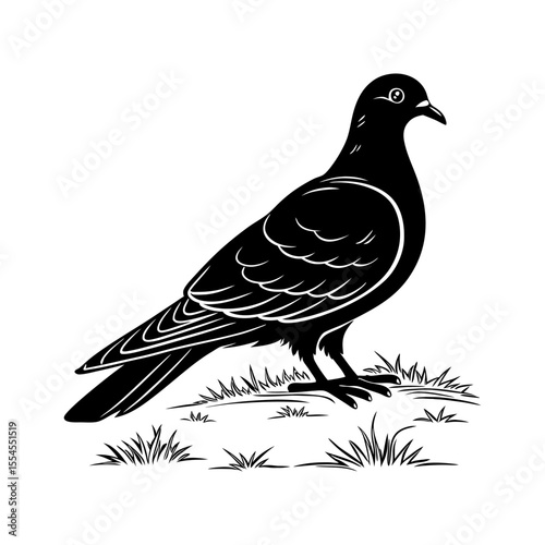 Silhouette of a pigeon standing on a patch of grass, detailed illustration.