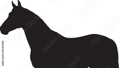 Caspian horse in silhouette vector pure white background.