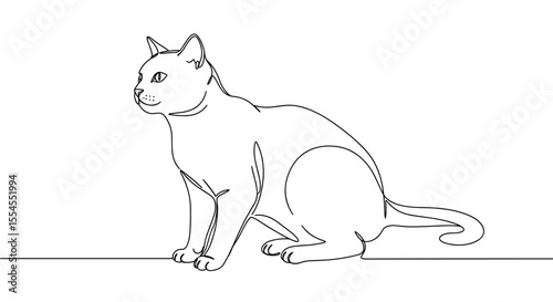Line art cat in a sitting position on a plain background