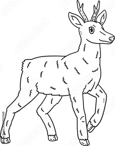 Forest Animal Roe Deer Isolated Coloring Page 
