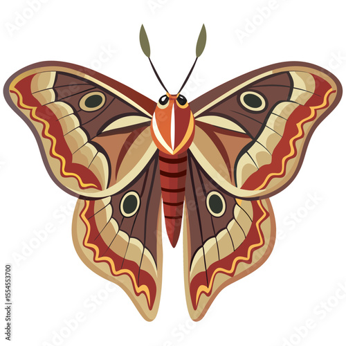 moth on a white background