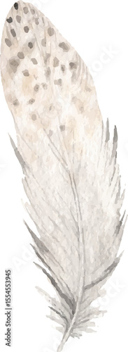 Feather boho chic watercolor illustration clipart