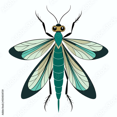 mayfly vector illustration