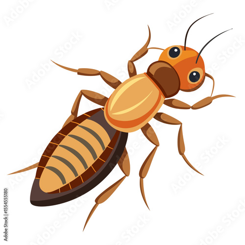 vector illustration of a Termite