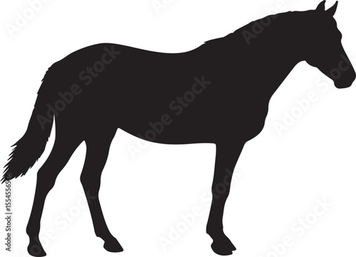 Chincoteague pony in silhouette vector pure white background.