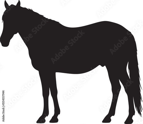  Choctaw Horse in silhouette vector pure white background.