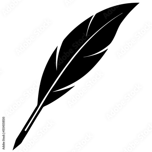 feather on white background
