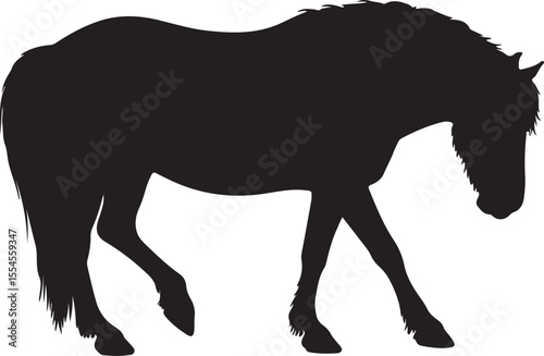 Comtois horse in silhouette vector pure white background.