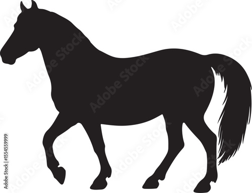 Connemara pony in silhouette vector.