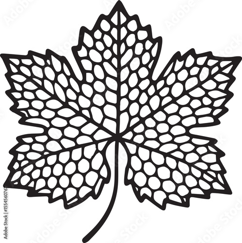 This black and white illustration shows a detailed grape leaf with prominent veins and a textured, cellular pattern. The leaf's edges are serrated, and its overall shape is typical of a grapevine. The