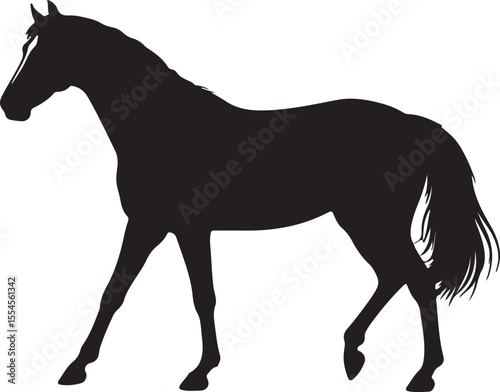  Criollo horse in silhouette vector pure white background.