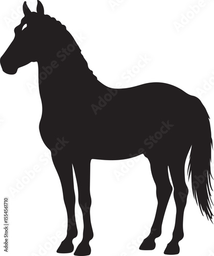 Cuban Criollo horse in silhouette vector pure white background.