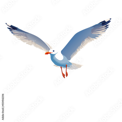 flying seagull bird vector animal graphic design
