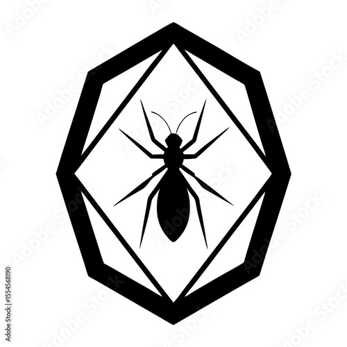 spider on a white background
