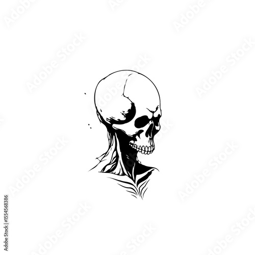 Intricate skull illustration showcases the transience of existence a reminder of mortality's prevalence in life