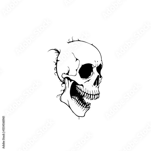 Detailed skull illustration with intricate linework portraying human anatomy and mortality in a minimalist style