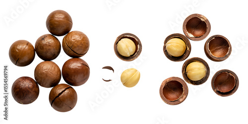 Macadamia Nuts Isolated Background