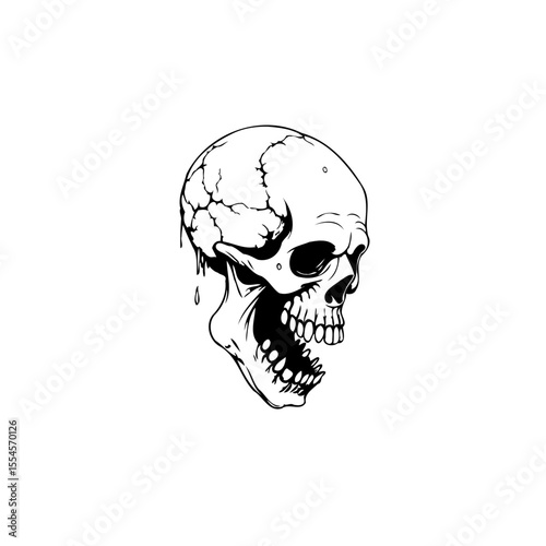 Dramatic depiction of a skull with intricate cracks and realistic shading presented on plain backdrop artistic