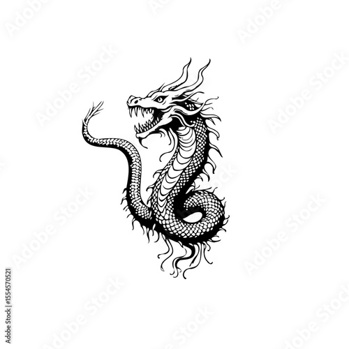 The mythical creature: an impressive graphic depiction of a dragon in black and white illustration art