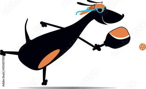 Cute dog playing pickleball. 
Cartoon dachshund plays pickleball. Isolated on white background
