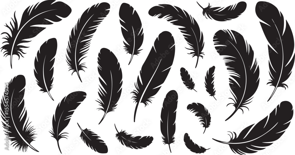 Fototapeta premium Feather Silhouette Collection Vector Art for Avian and Flight Projects