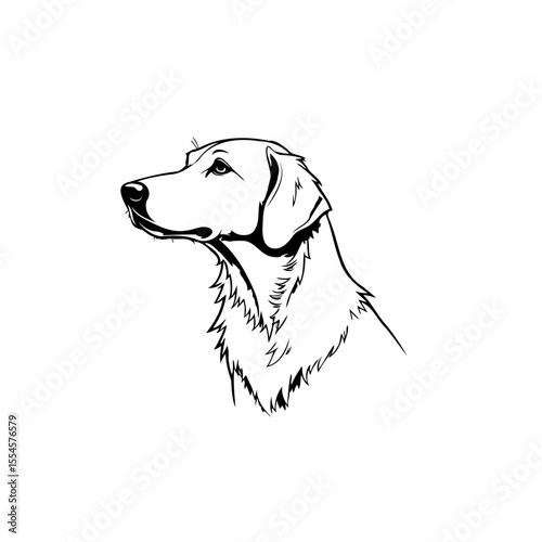 Elegant dog head outline drawing featuring a labrador retriever in black and white minimalistic style illustration