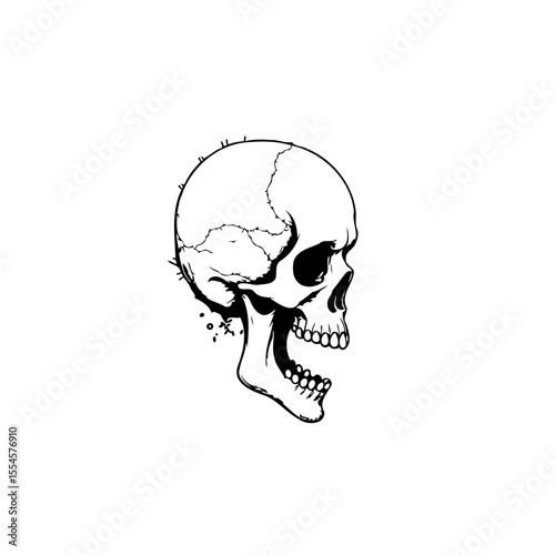 Dramatic depiction of a human skull against a plain white background evoking mortality symbolism with artistic flair