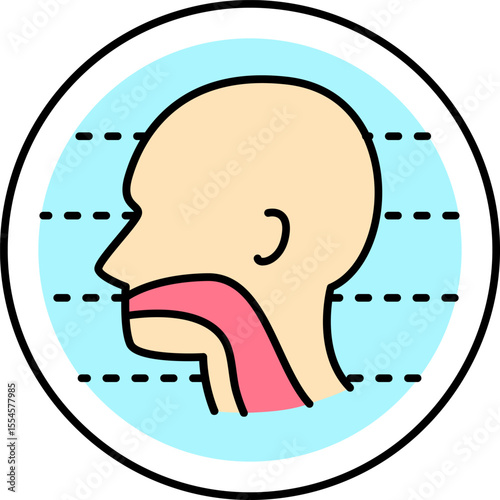 otorhinolaryngology illustration on a white background       