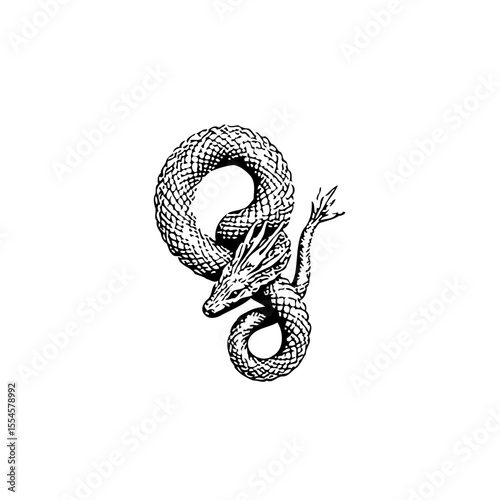 Detailed snake illustration with intricate scale patterns creating a striking visual impact and overall artistry