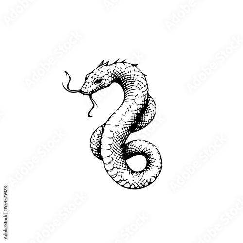 Black and white drawing of a snake coiled and ready to strike is an interesting design snake vector