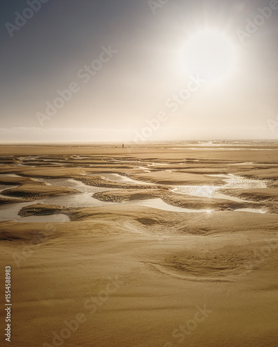 Sandy beach with tidal pools and person walking dog under morning sun