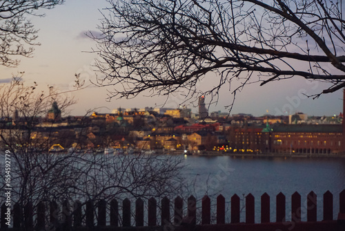 A park with a view of city