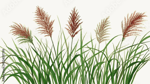 Meadow Luck Spill Wildflower isolated watercolor vector illustration svg