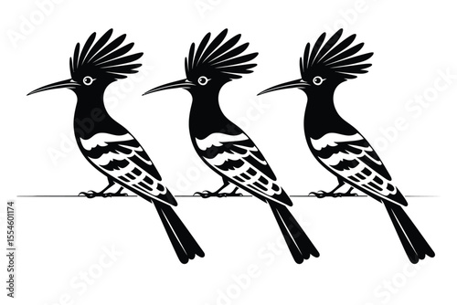 Set of three monochrome hoopoe bird silhouettes illustrating elegance and grace

