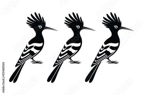 Set of three monochrome hoopoe bird silhouettes illustrating elegance and grace

