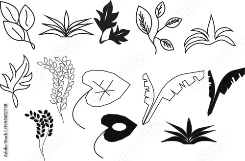 Collection of Simple Line Art Botanical Illustrations Leaves, Plants, and Floral Elements