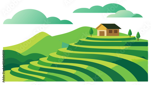 Minimal Green Rice Terraces Vector Illustration