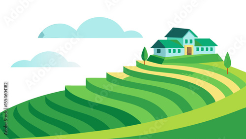 Minimal Green Rice Terraces Vector Illustration