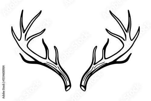 black and white deer antlers