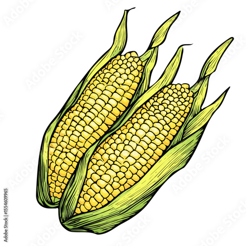 Sweet Corn illustration vector 2D flat, isolated on a white background.