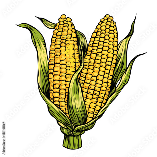 Sweet Corn 2D flat vector illustration, isolated on a white background.