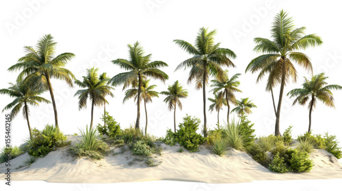 Tropical oasis with lush green palm trees on sandy beach under clear sky isolated on white background