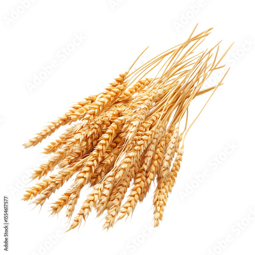 Golden Wheat Sheaves Agriculture Harvest and Rural Abundance On Transparent Background
