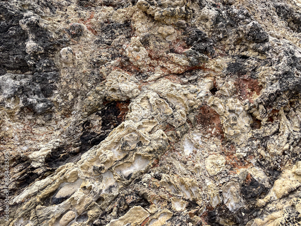 Naklejka premium A close-up of a textured rock surface