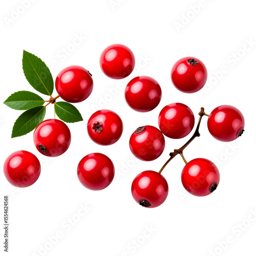 Bright red hawthorn berries with green leaves and brown stems arranged on a black surface.