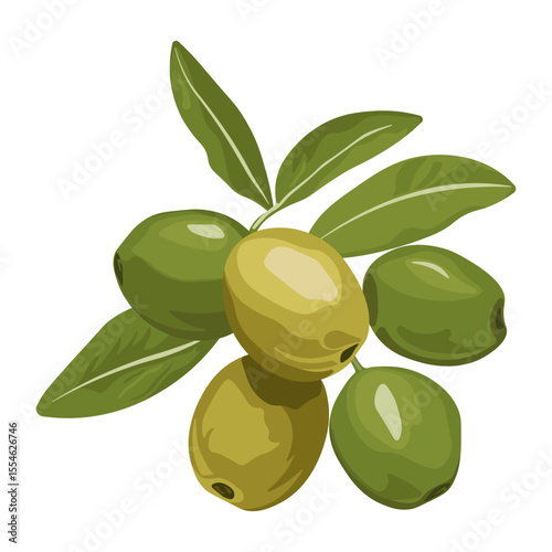 Bright illustration of ripe olives in different colors with green leaves, natural food element, isolated without background